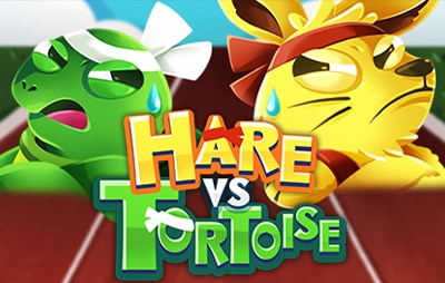 Hare vs Tortoise